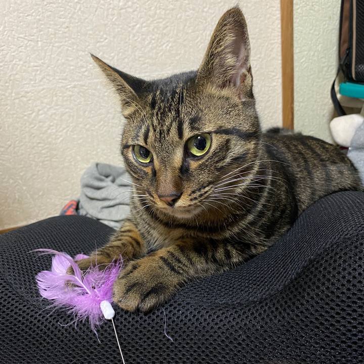 Cee26529 383c 46d2 ac84 b3d775f6c994 1577622502745