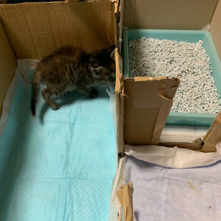 Cee2806e e9e5 4efe 80d2 90eba5ab8817 1557324267947