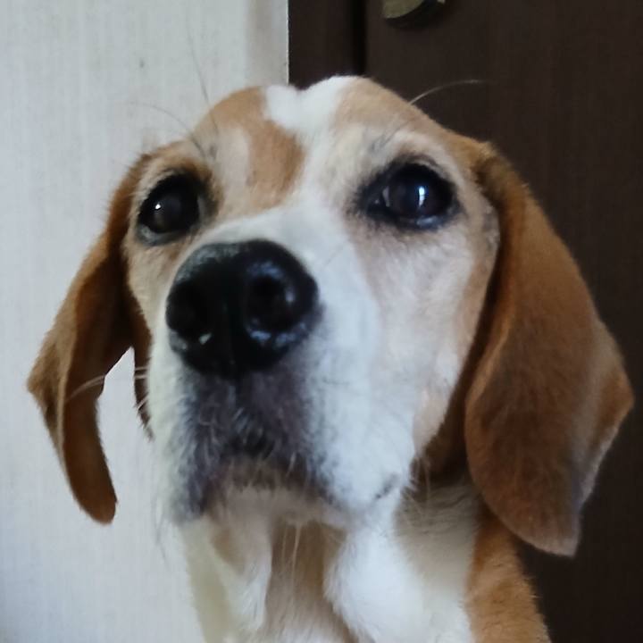 Cee29185 10b2 478e aaaa c55972ae3fe3 1759136455541