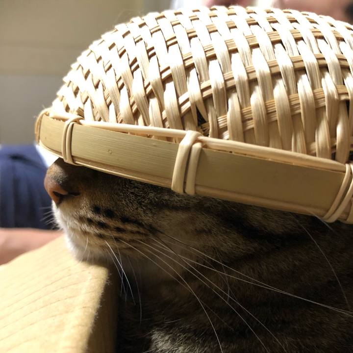 Cee29d70 6027 4531 a92a e07ef15ae63b 1633121878876