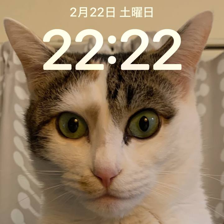 Cee2b752 affc 4655 9241 eb744fca22a4 1740237603943