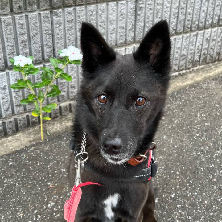 Cee3195e 53c5 4f3b becb 15731f0163f3 1664936934176