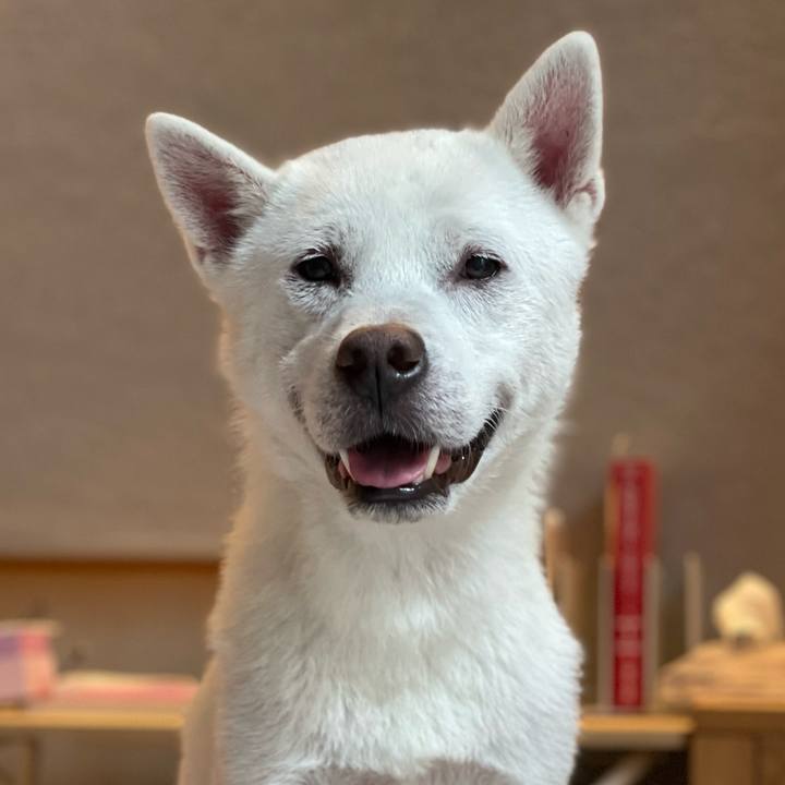 Cee33f62 799a 4b00 8486 e05afd601bee 1690890608140