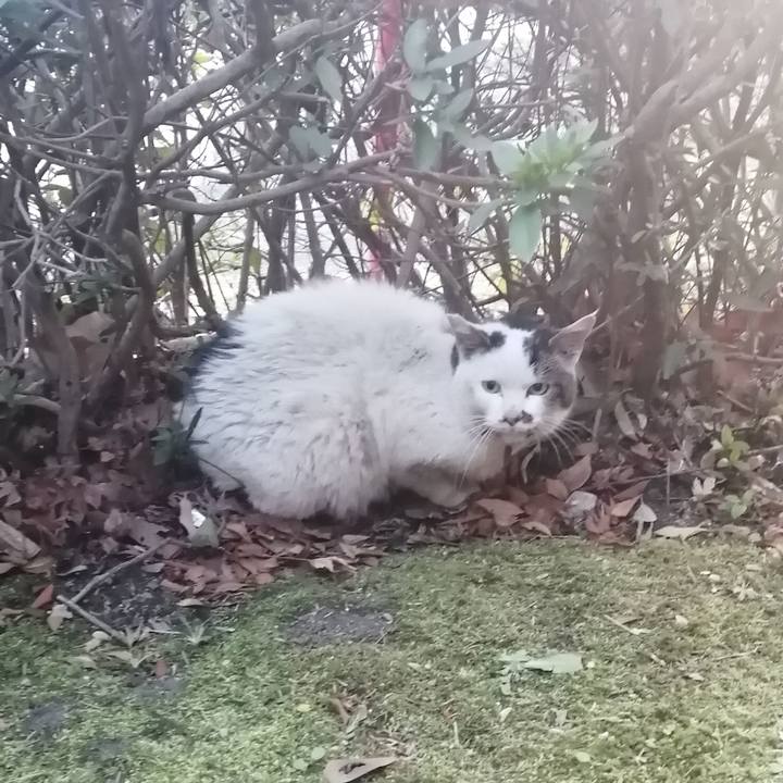 Cee36e99 32d4 4e2f bf27 734a00f53b04 1613426386347