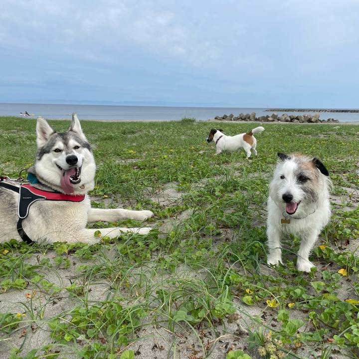 Cee37923 d3c4 45bc a63e 0847b4b27443 1719707432356