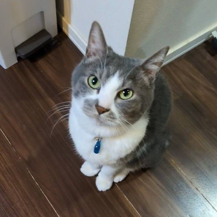 Cee3a732 0dbb 4a73 9c1a 9ce38021e76a 1770031849547