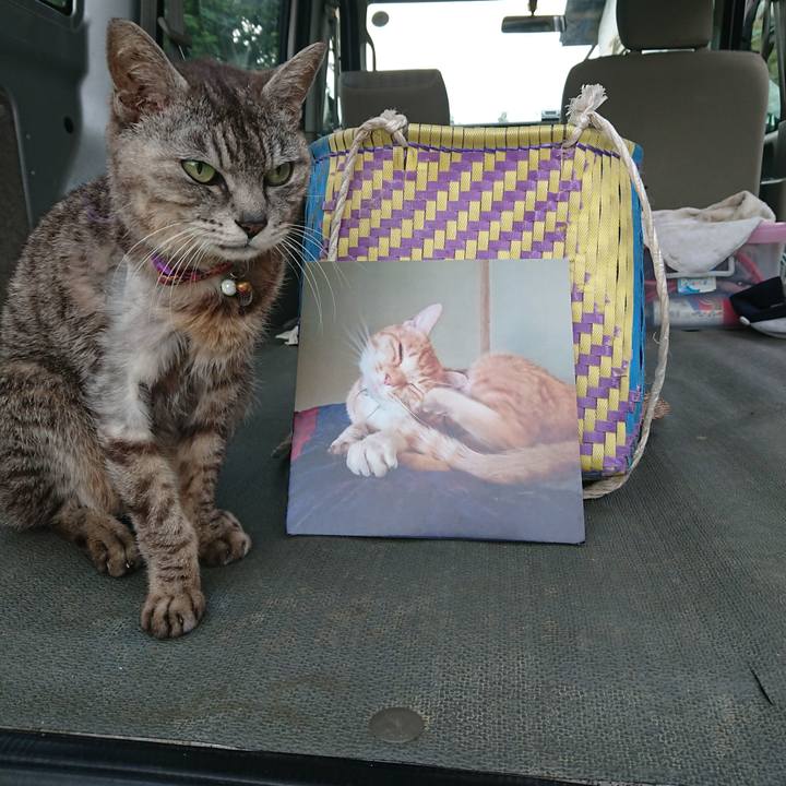 Cee3a7ed c504 4011 8645 5426f4ae4564 1592817866061