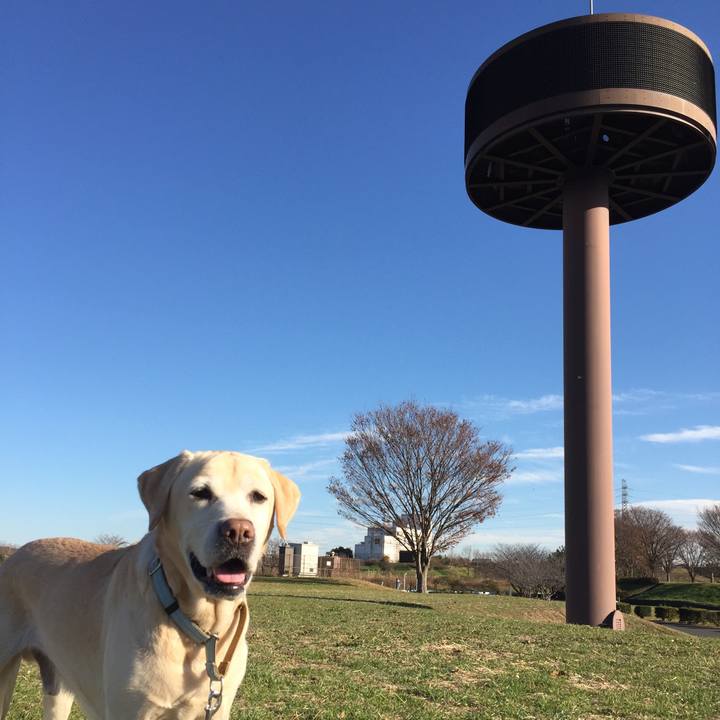 Cee3b02e 7848 4b2b a6d4 721361a8a261 1513074064705