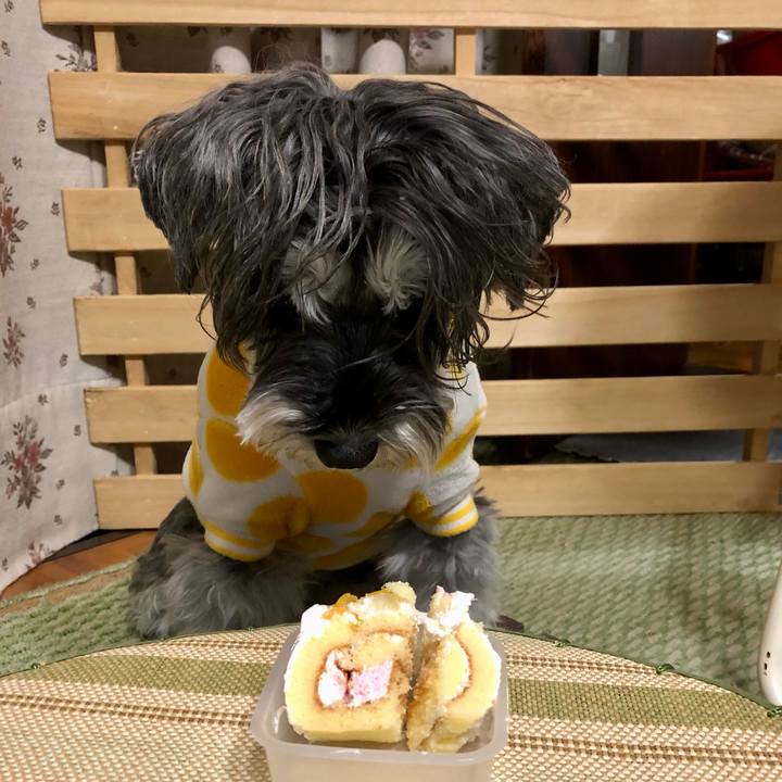 Cee3c78e 6225 4d16 a609 85a40fbc21af 1704549293762