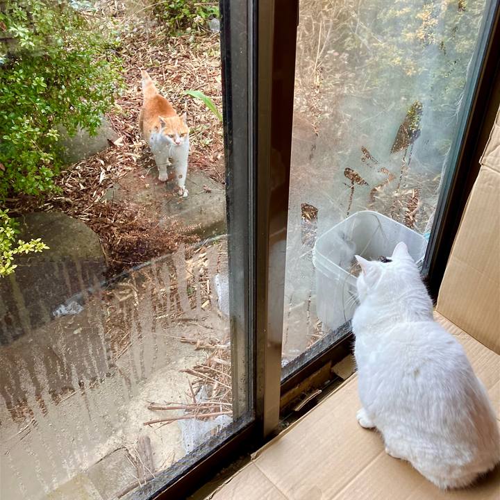 Cee3cb77 328c 44de 8fde 48a9a0ba2b9b 1770431421058