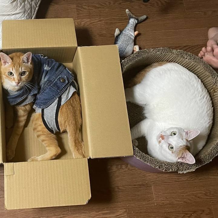 Cee3f055 1309 4fea 97f7 db169de47219 1651287378682