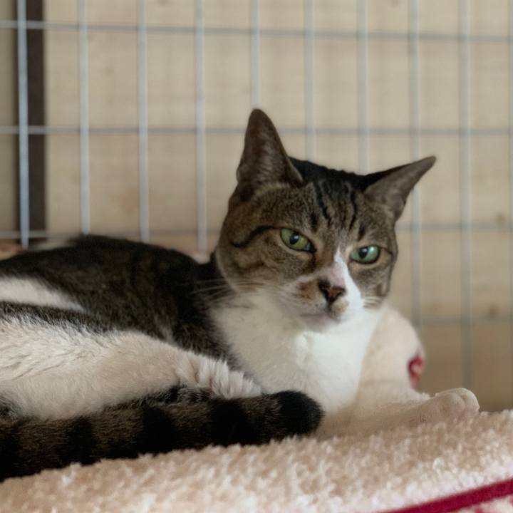 Cee41b6e 3fb1 4723 97d1 531e12809e88 1576890054834