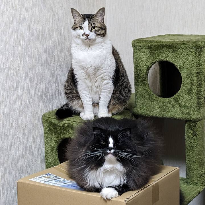 Cee4558a c0ea 4f6f 940a 89ca6c4ce5d1 1701982487069