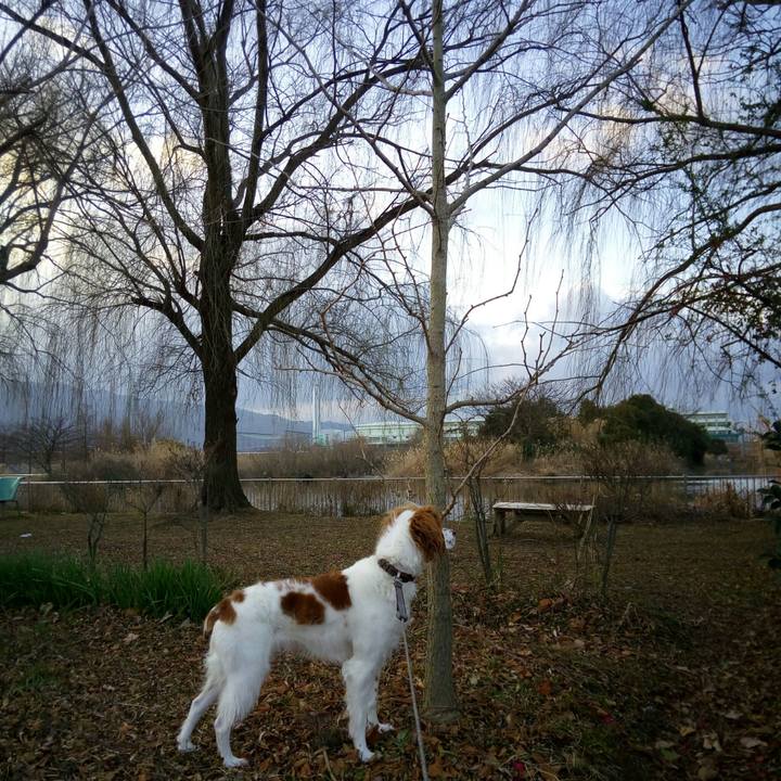 Cee46b74 1cb0 437a 9c0e 99dc33b246af 1517789253998