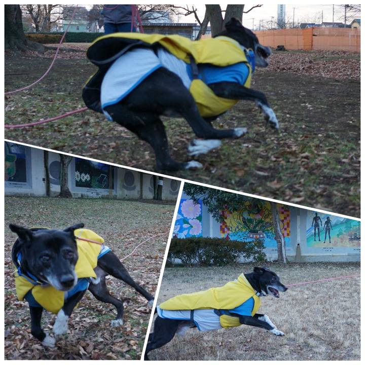 Cee49011 f57d 4bbe 9e49 3781e71a9cb6 1766104030683