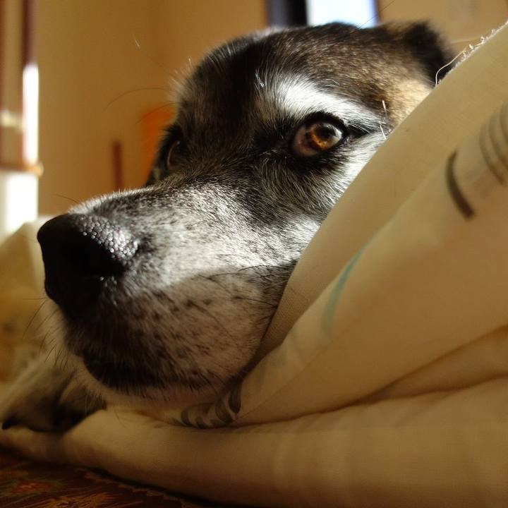 Cee498ce 7e30 40e3 8718 c4062f69868c 1512883314508