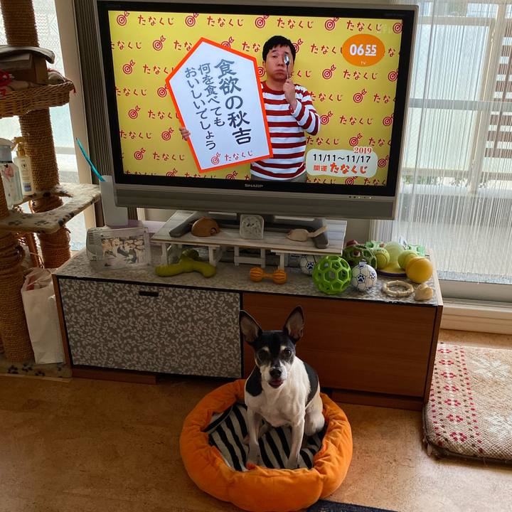 Cee4a50f c9ee 45f2 83c5 bb46c708e7c7 1573426516026