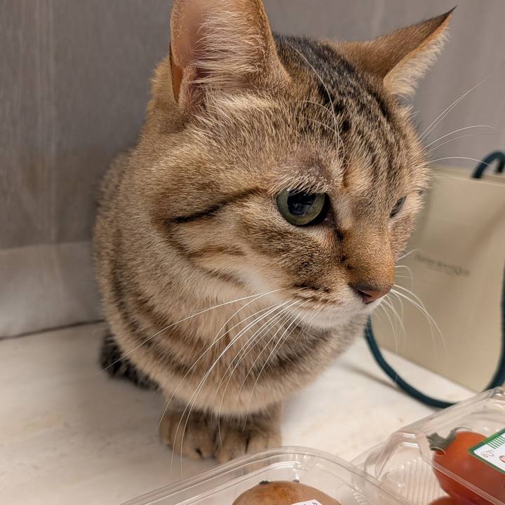 Cee4ab2e 2179 4af3 8366 22b925d57fd8 1768001229861