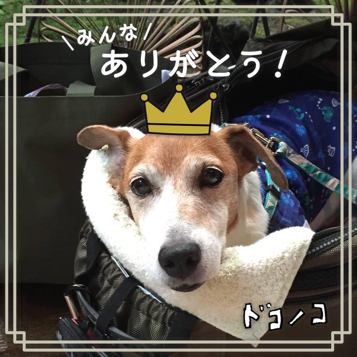 Cee4bf01 4049 4016 8ef7 05a55d1b6611 1622963386604