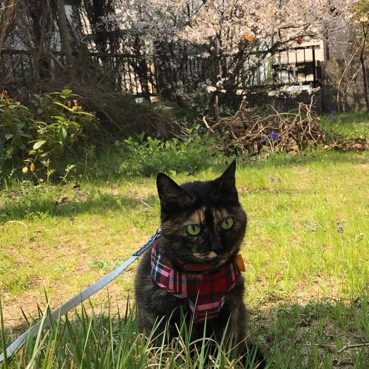 Cee4c01c 1d90 400e 953b 015040d7580b 1554514382078