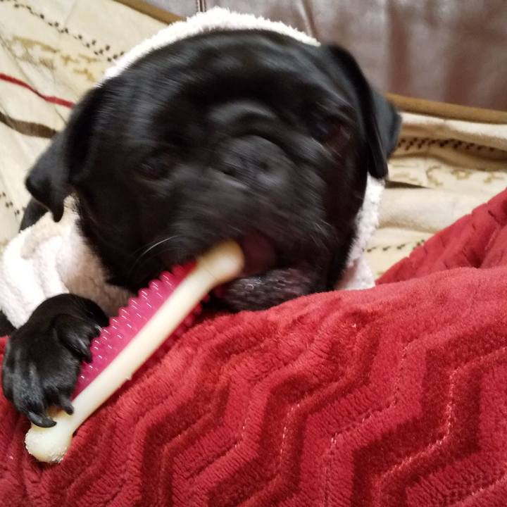 Cee4db7d cb3c 46e4 8027 e3566604ba1d 1583057584032