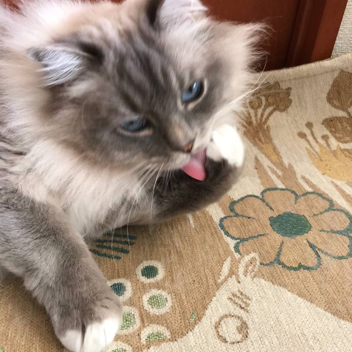 Cee525bb 713e 4ca4 a702 17c76437fd2d 1518672768076