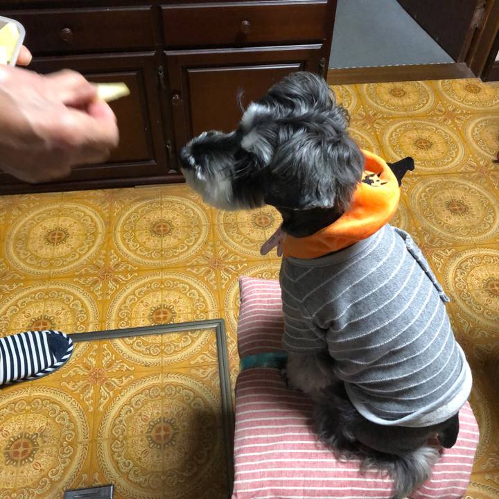 Cee53630 149d 4b49 bee9 7481ae1e6f1e 1667212816068