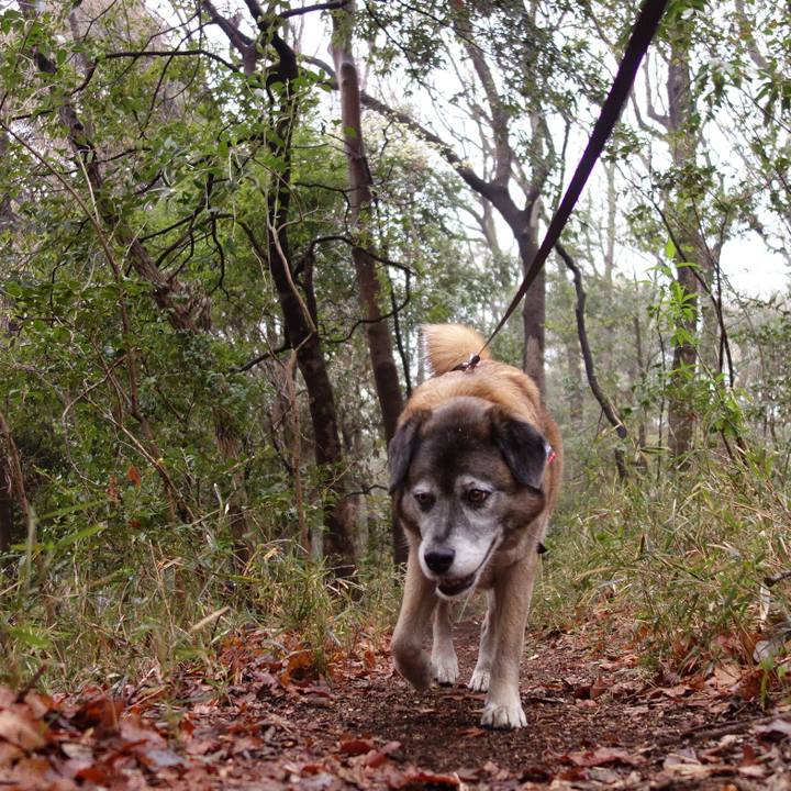 Cee53e4c 997f 4fec b318 3576ec77cdbb 1553993836793