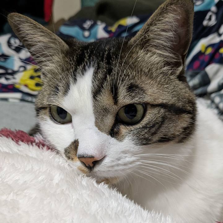 Cee55bf5 1195 44b4 b638 e4b0bea9a833 1742736646980