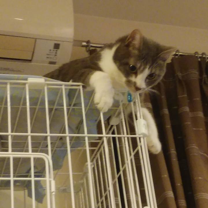 Cee57200 a649 41db 992c c5d43b83e7e7 1588461139834