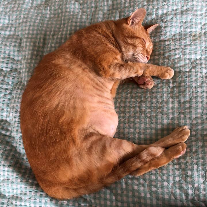 Cee59816 6d97 4d23 b2ab 990b0701fe2b 1691280351147