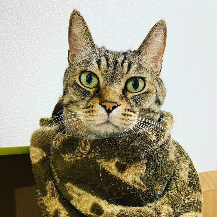 Cee5bb81 95d2 4d84 8a07 921321c6fdd9 1616143148228