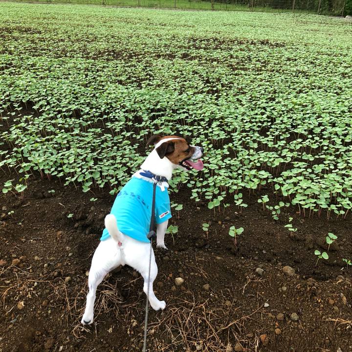 Cee5c0fd 9641 4fc3 a57d 29815c90b340 1597228576979