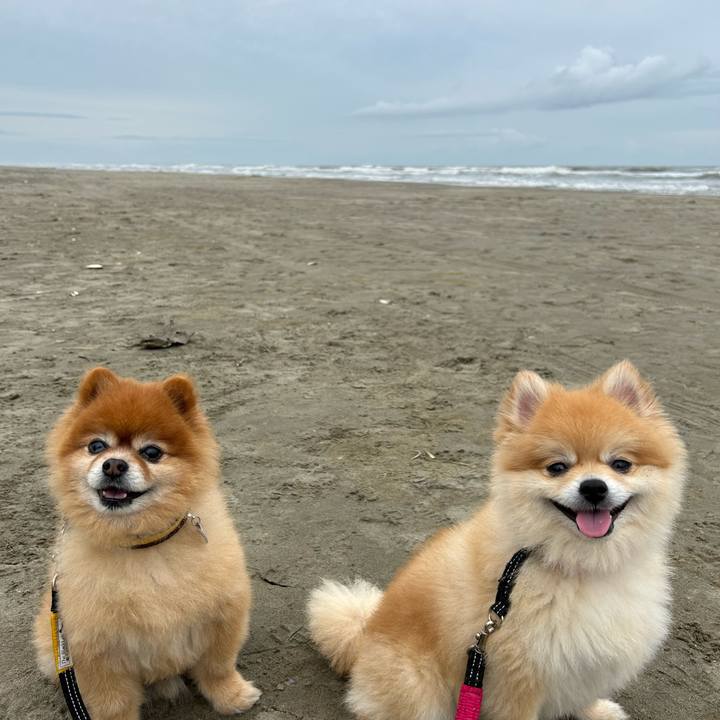 Cee5cd59 6df6 44b2 a0bd 4e56a3103031 1679580007482