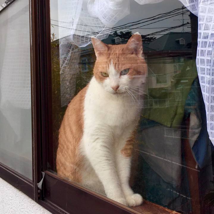 Cee5f4c5 e455 42a0 8fb4 07bf098c8c78 1576133220563