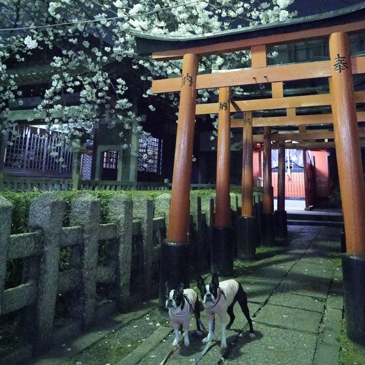 Cee69985 8866 4a71 9a71 eb78de327ab9 1522156482519