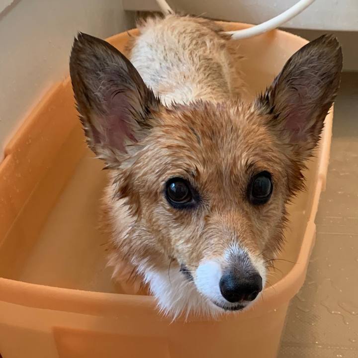 Cee6ae5b 8e24 46ac 98aa cb821687e48f 1565074816550