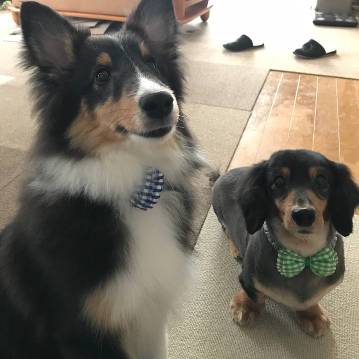 Cee6af95 2123 4b20 8b13 33e9b5a89f5e 1516589151573