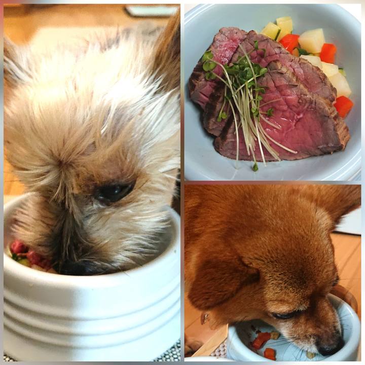 Cee6c0c9 a9cd 4444 aba8 308c0269e550 1628417551812