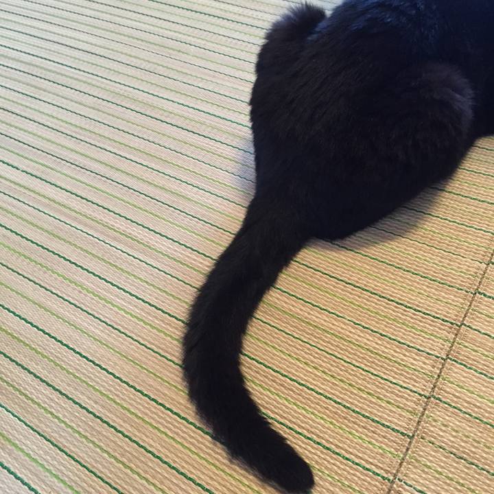 Cee6c891 c08d 4b4b ab11 dade4e45a395 1535927578991