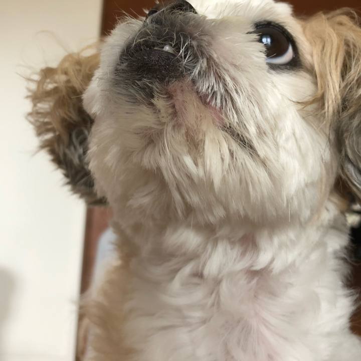 Cee6e14e c99f 41e2 bd58 69788757cac6 1625177209805