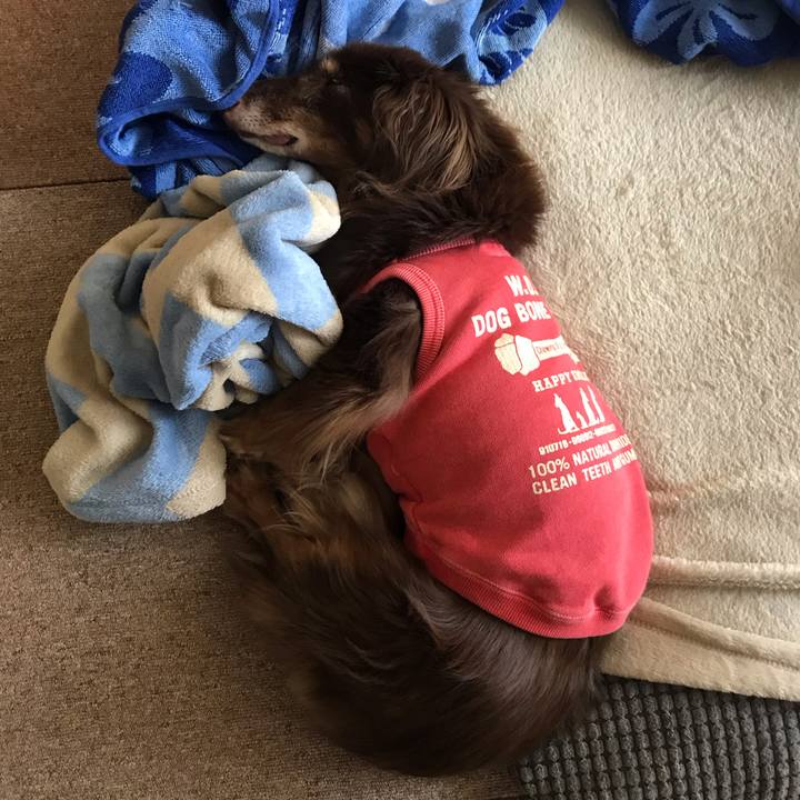 Cee750e5 4887 4a33 81ff 049dd67024e7 1563339625330