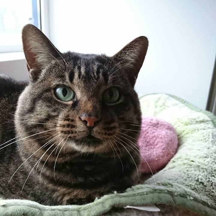 Cee7516e 30fd 4aac b81b adc14cdfc010 1508718614270