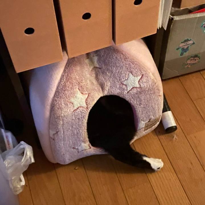 Cee77a64 8538 4d63 a473 e8232fee72d3 1679139830774