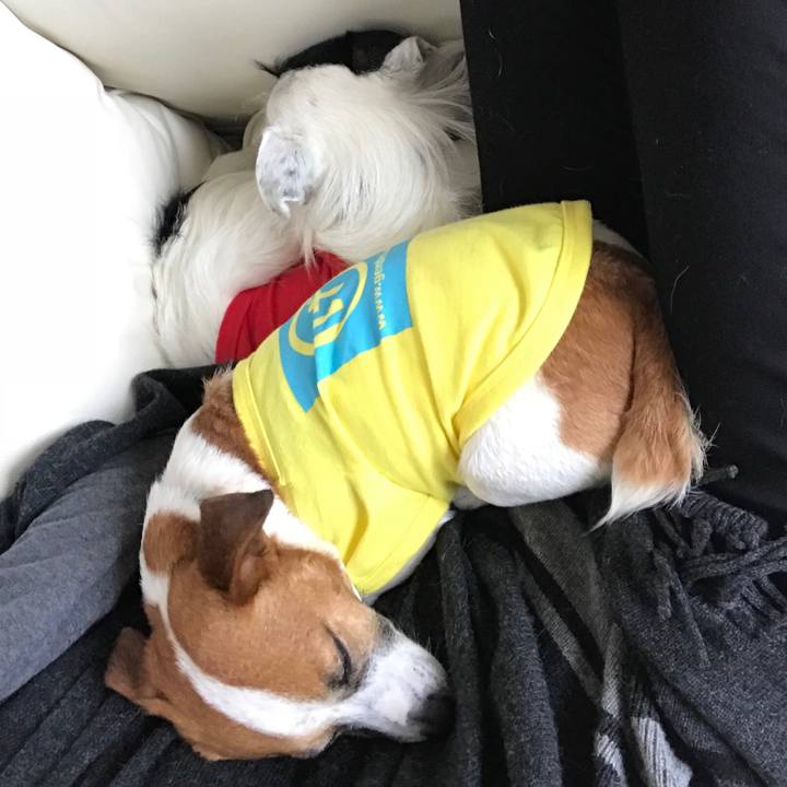 Cee7ab88 c58a 4f96 99f2 7f03a15e8933 1522910679936