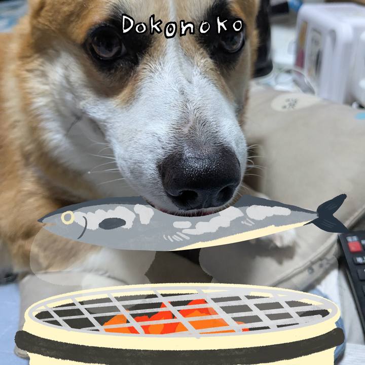 Cee7d4bb d724 458b a1da 61b73fb8081d 1761143733734