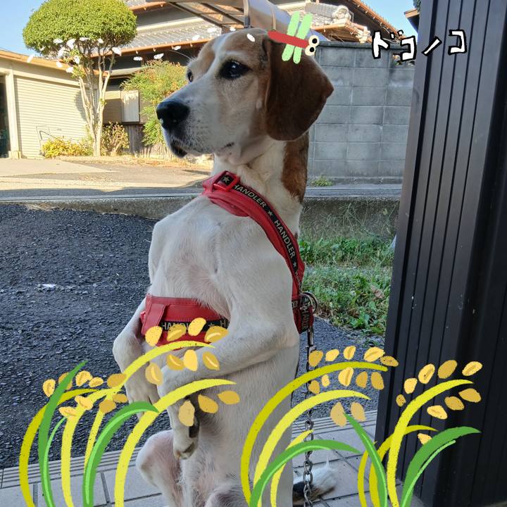 Cee83eb2 7dc0 40ca 840e 985d15f24a89 1761202338762