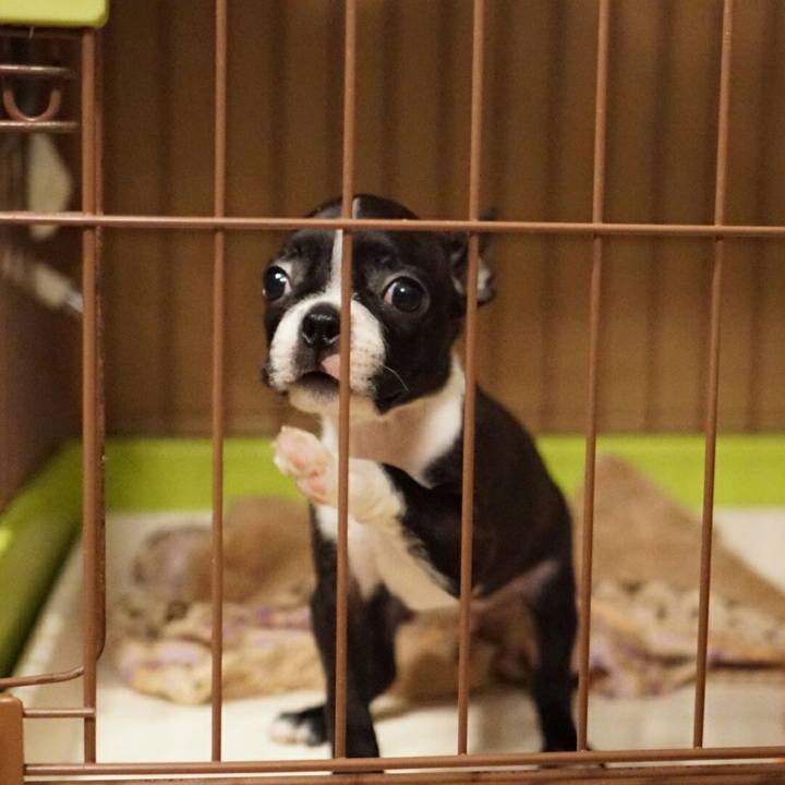 Cee87977 f3e7 46d8 8e6a 46fbc9799117 1538396736262