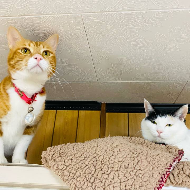 Cee87a6f 6cdf 49e0 af51 49531acb0e67 1698363522310