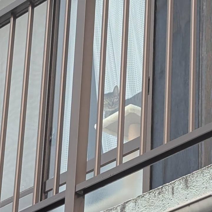 Cee8bb7f 2e29 48cb 93f4 5732b08e8ffd 1742198286658